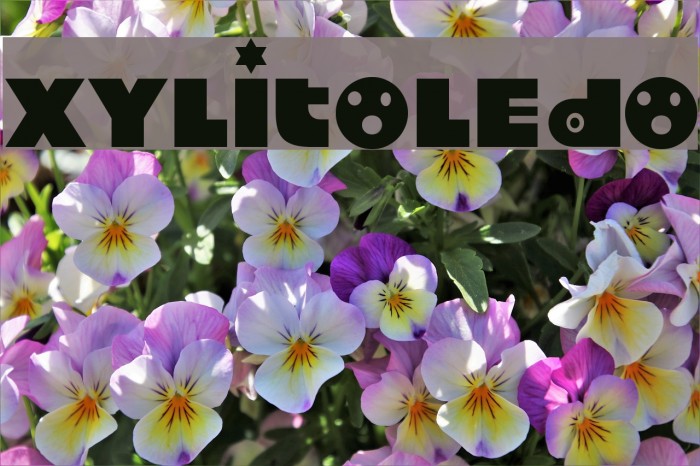 Xylitoledo Font examples