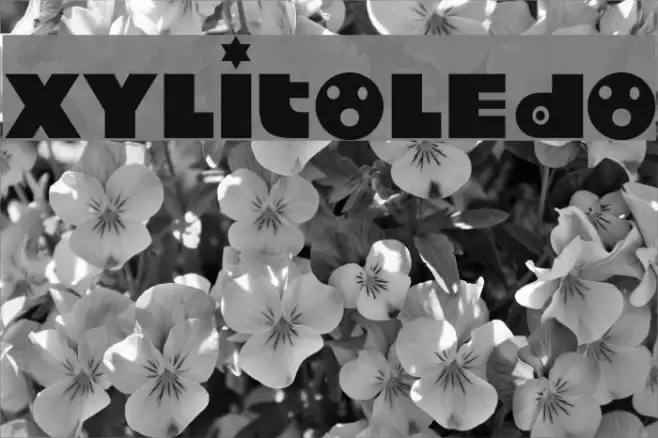 Xylitoledo Example 1
