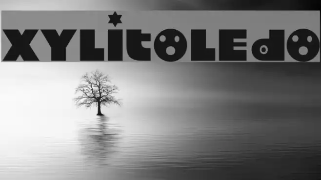 Xylitoledo Example 3