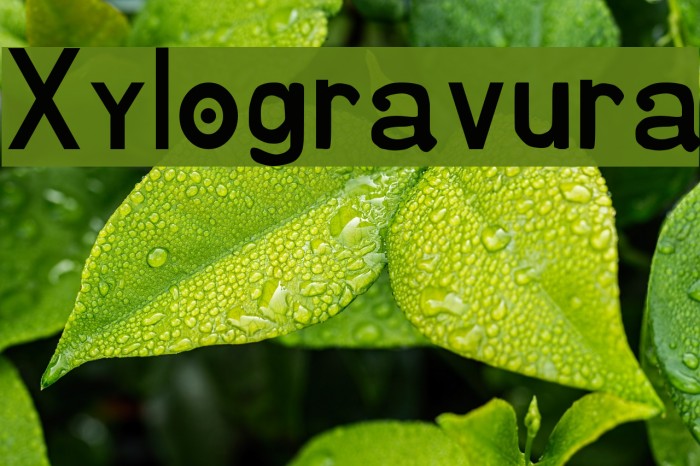 Xylogravura Font examples