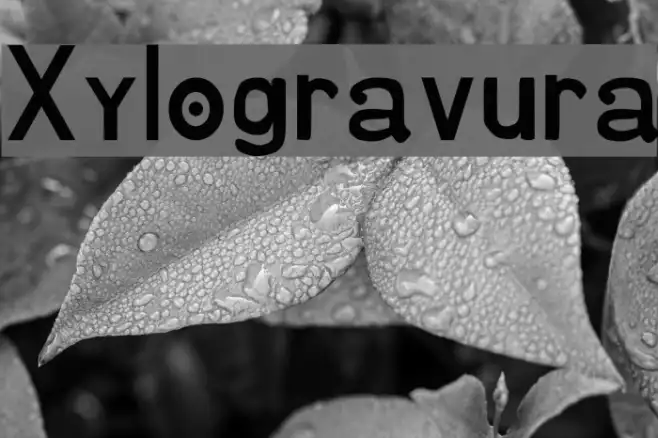 Xylogravura Example 1