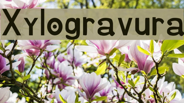 Xylogravura Font examples