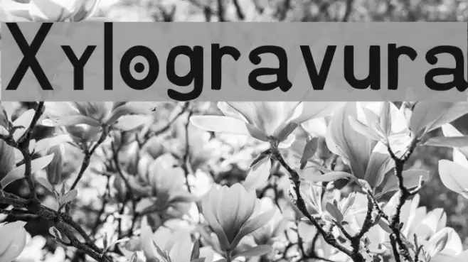 Xylogravura Example 3