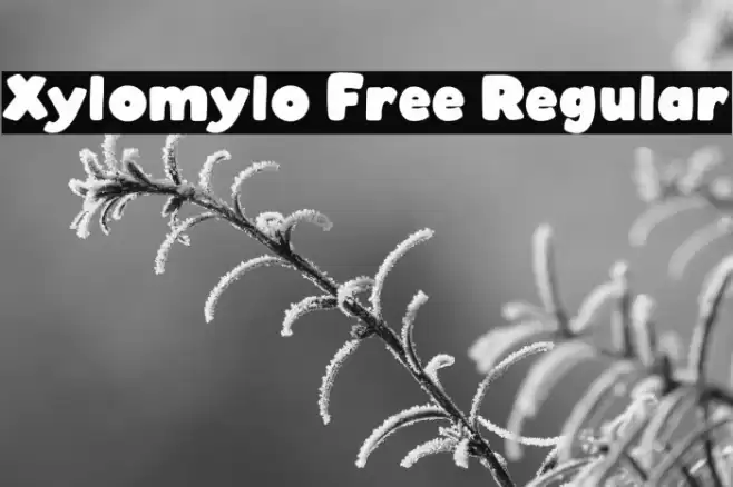 Xylomylo Free Regular Font examples
