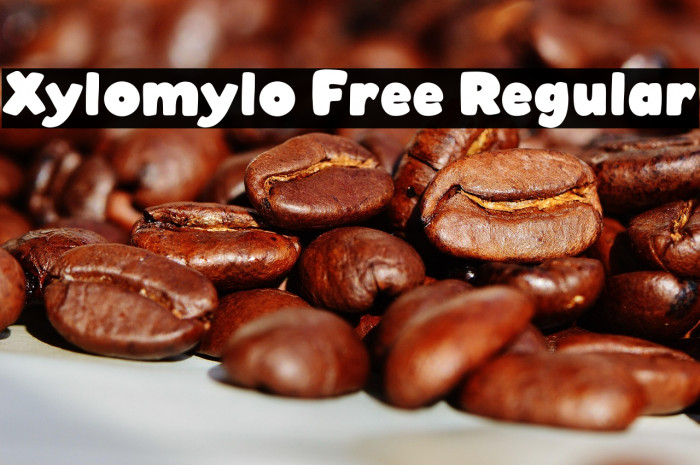 Xylomylo Free Regular Example 2