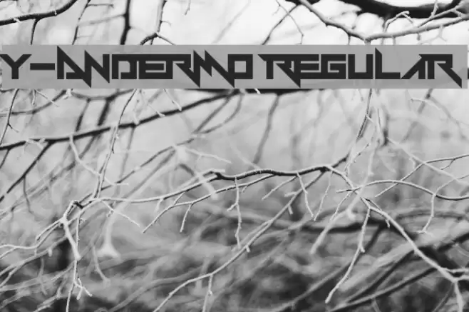Y-Andermo Regular Font examples