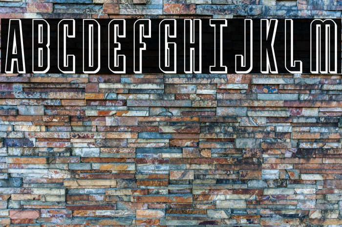 Y-Files 3D Example 3