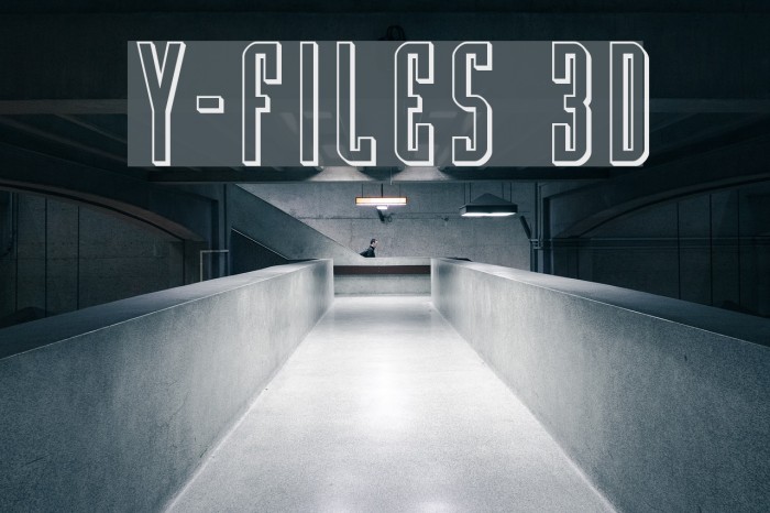 Y files