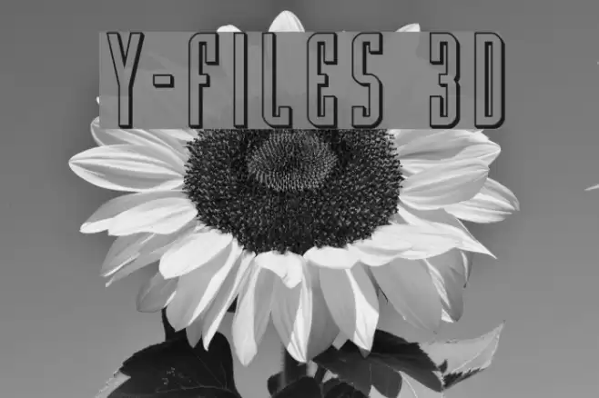 Y-Files 3D Polices examples