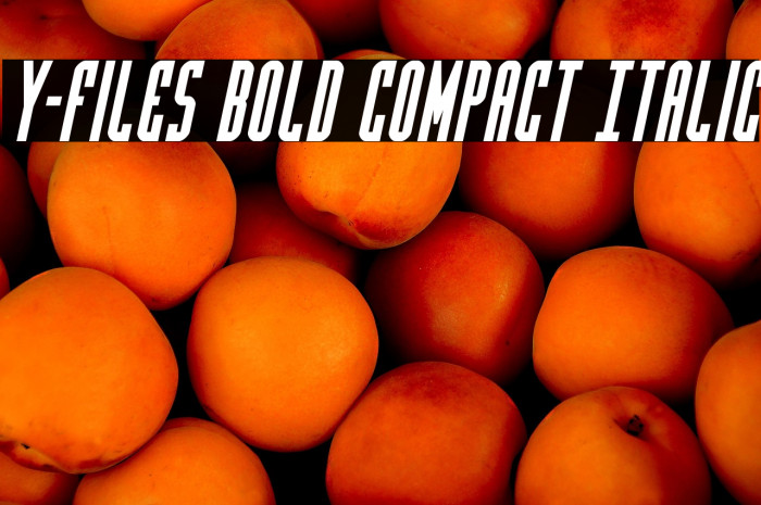 Y-Files Bold Compact Italic Example 1