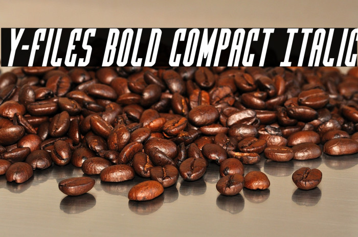 Y-Files Bold Compact Italic Example 2