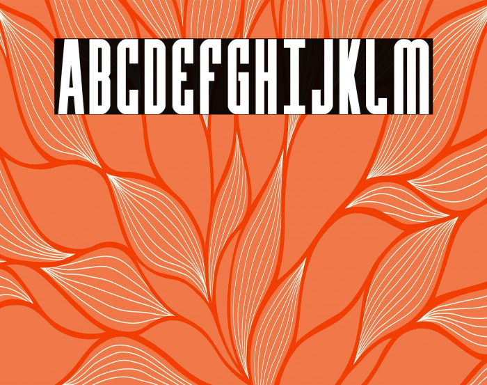 Y-Files Bold Compact Example 3