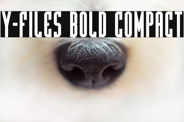 Y-Files Bold Compact Example 1