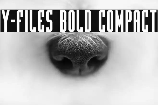 Y-Files Bold Compact Font examples