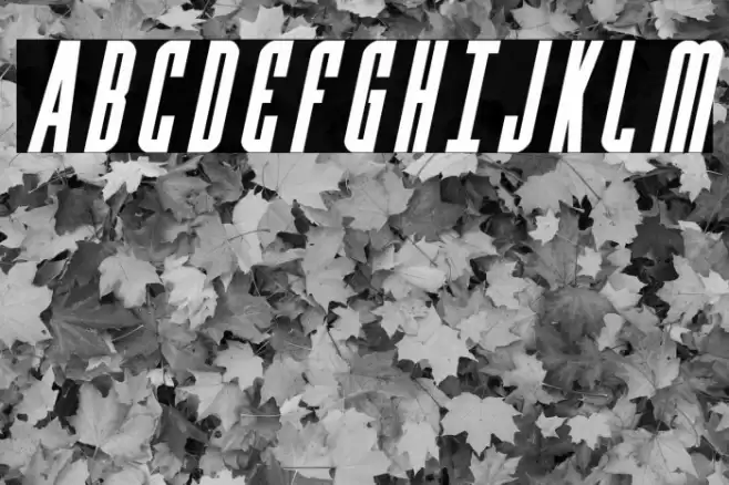 Y-Files Bold Italic Font examples