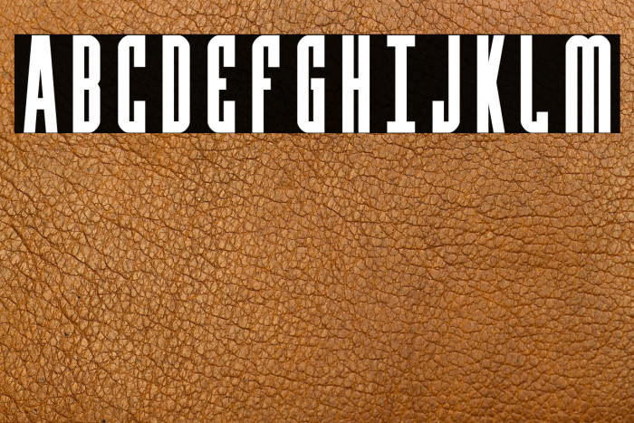 Y-Files Bold Example 1