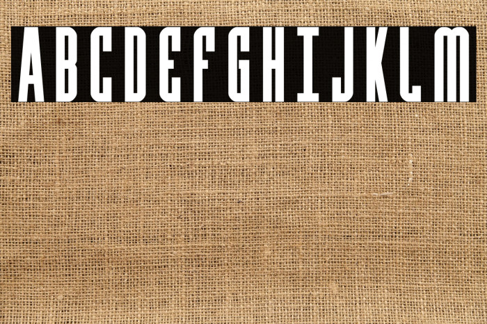 Y-Files Bold Example 3