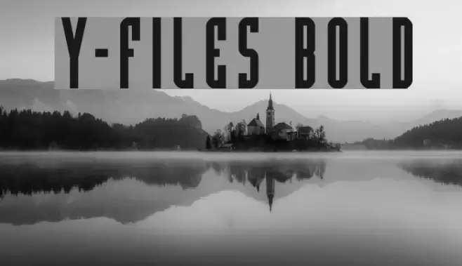 Y-Files Bold Schriftart examples