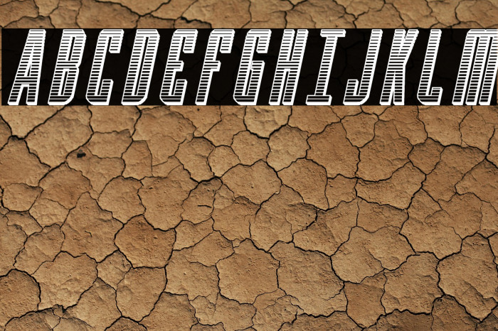 Y-Files Chrome Italic Example 1