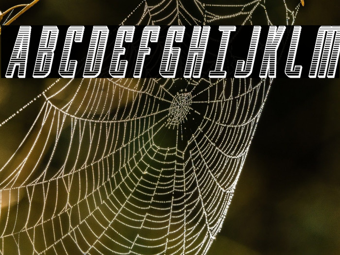 Y-Files Chrome Italic Example 2