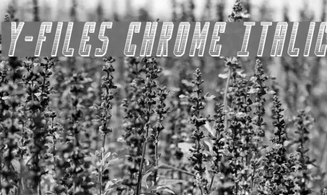 Y-Files Chrome Italic Шрифта examples