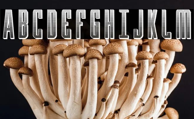 Y-Files Chrome Example 1