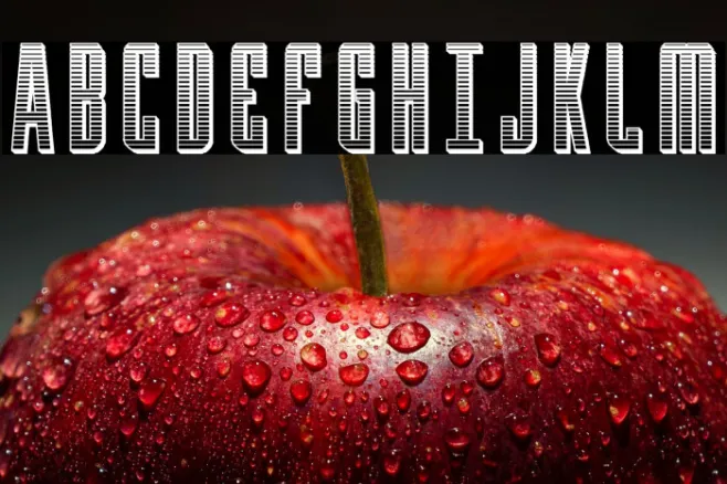 Y-Files Chrome Example 2