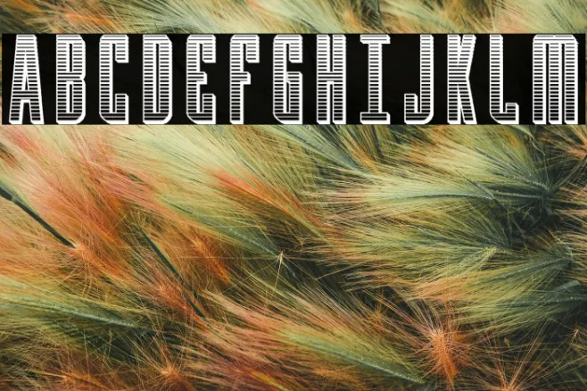 Y-Files Chrome Example 3