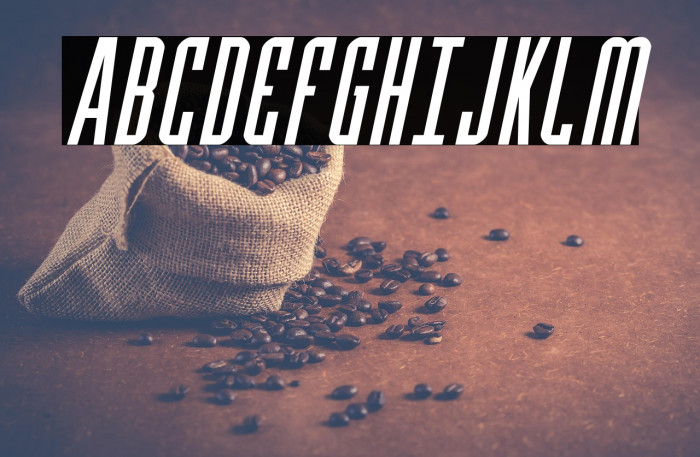 Y-Files Compact Italic Example 2