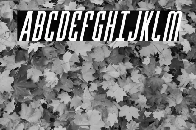 Y-Files Compact Italic Шрифта examples