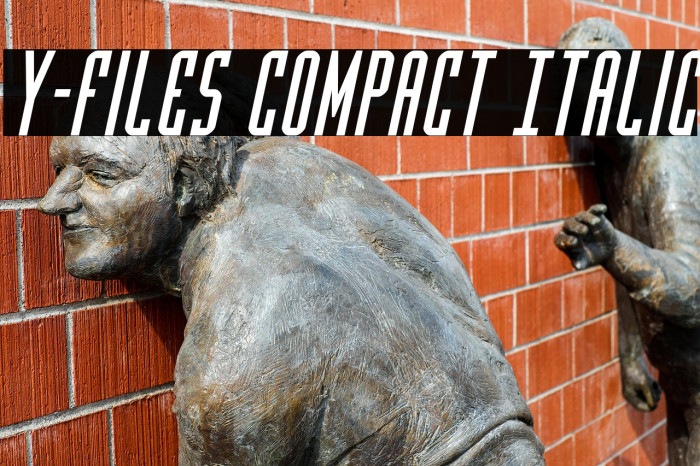 Y-Files Compact Italic Example 2