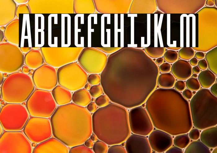 Y-Files Compact Example 1