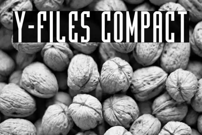 Y-Files Compact Font examples