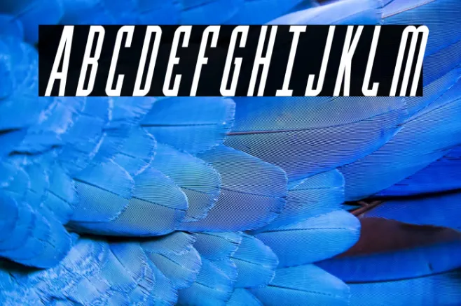 Y-Files Condensed Italic Example 2