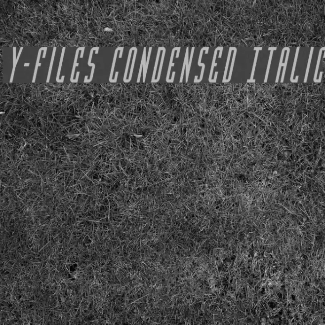 Y-Files Condensed Italic Schriftart examples