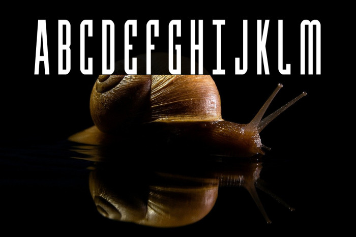 Y-Files Condensed Example 1