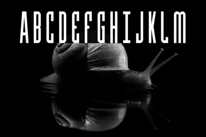 Y-Files Condensed Шрифта examples