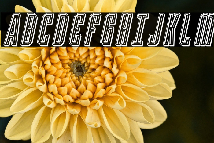 Y-Files Engraved Italic Example 3