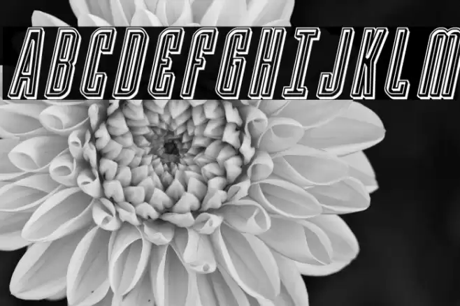 Y-Files Engraved Italic Шрифта examples