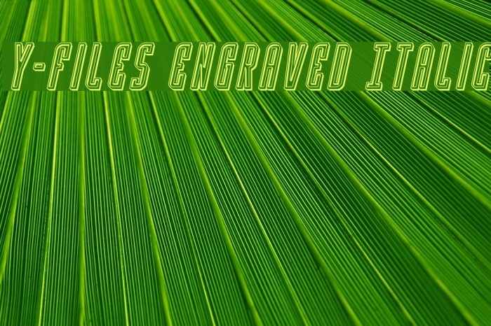 Y-Files Engraved Italic Font examples