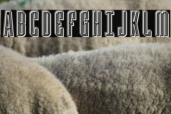 Y-Files Engraved Example 3