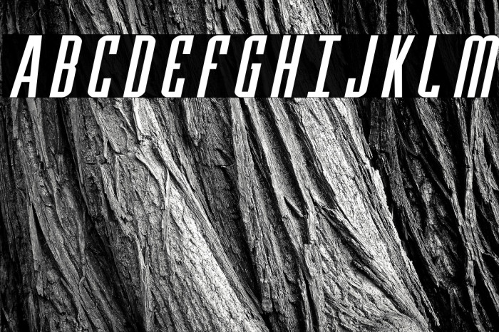 Y-Files Expanded Italic Example 1