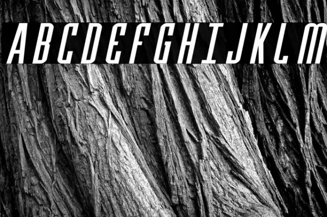 Y-Files Expanded Italic Font examples