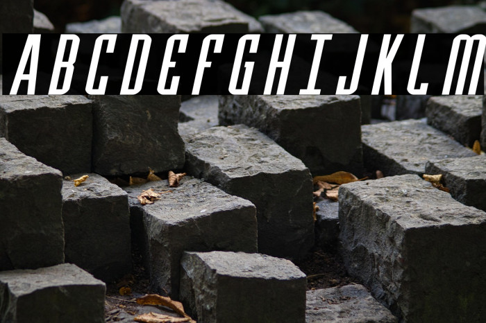 Y-Files Expanded Italic Example 2