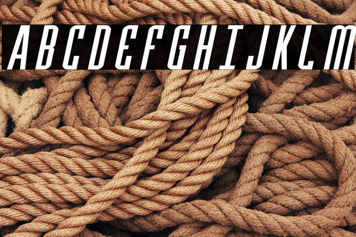 Y-Files Expanded Italic Example 3