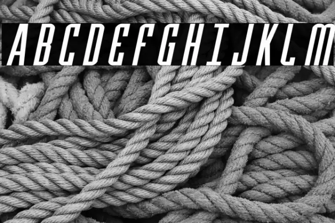 Y-Files Expanded Italic Font examples