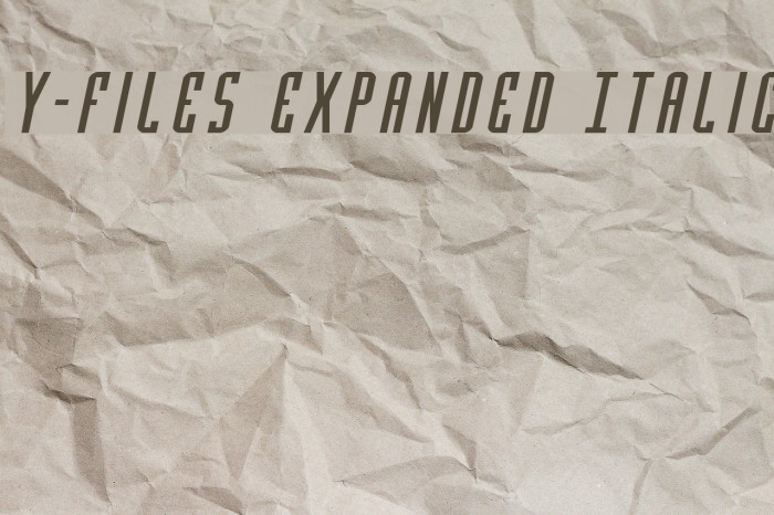 Y-Files Expanded Italic Schriftart examples