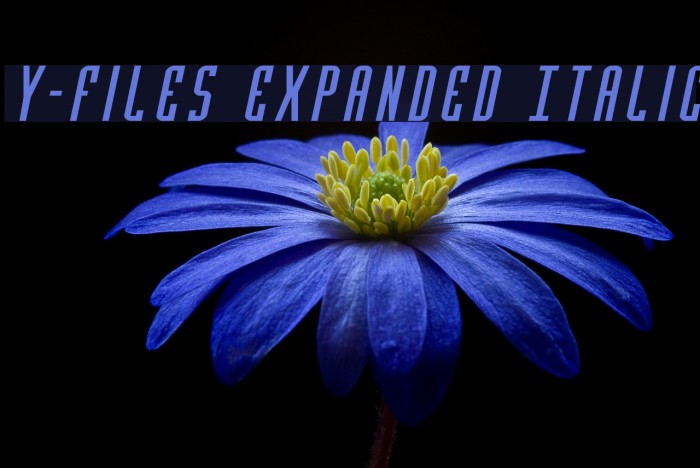 Y-Files Expanded Italic Schriftart examples