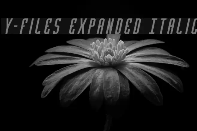 Y-Files Expanded Italic Schriftart examples