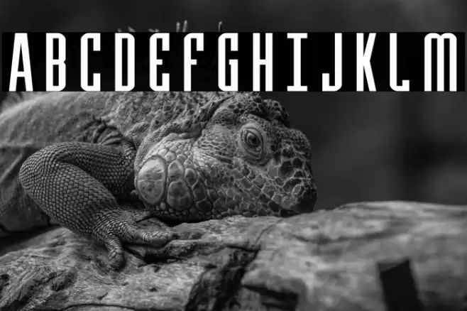 Y-Files Expanded Font examples